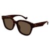 Accessories Gucci | Gucci Sunglasses | Gg1430Sk002 Havana